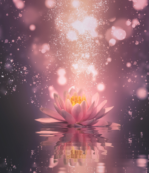 Yoga Image